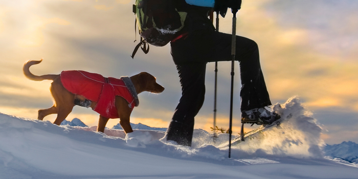 Snowshoeing triggered Plantar Fasciitis