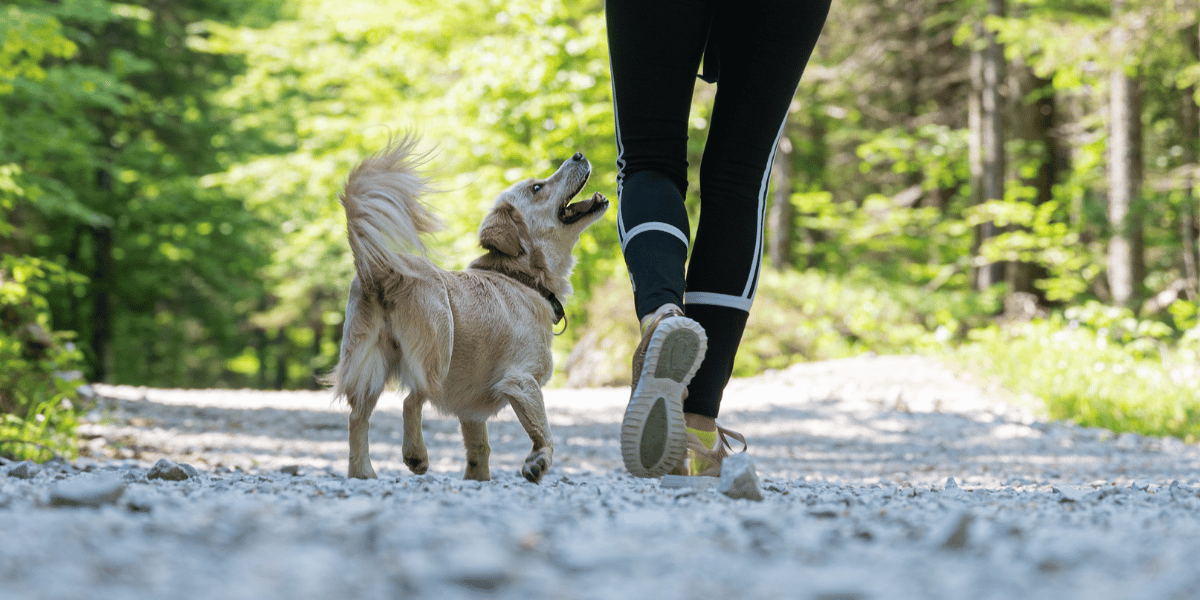 Will Plantar Fasciitis go away on its own so you can go back to your morning walks without pain?